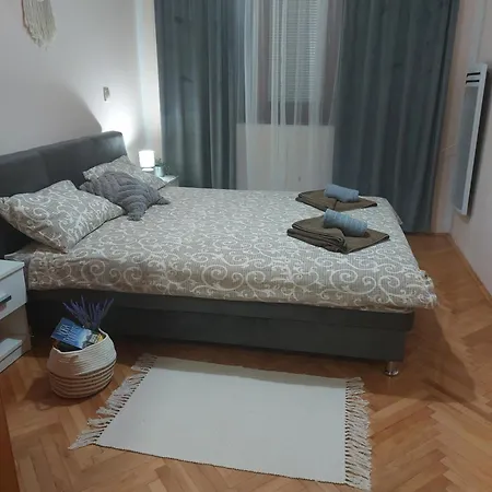 La Viva * 소코 반자