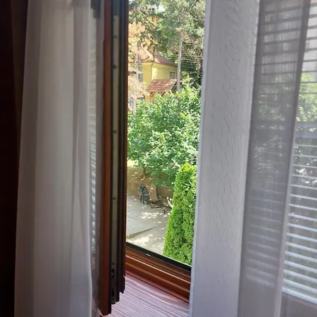 아파트 La Viva 소코 반자